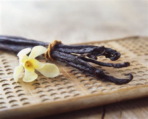 Simple Pleasures: Easy Recipes that Celebrate the Essence of Vanilla